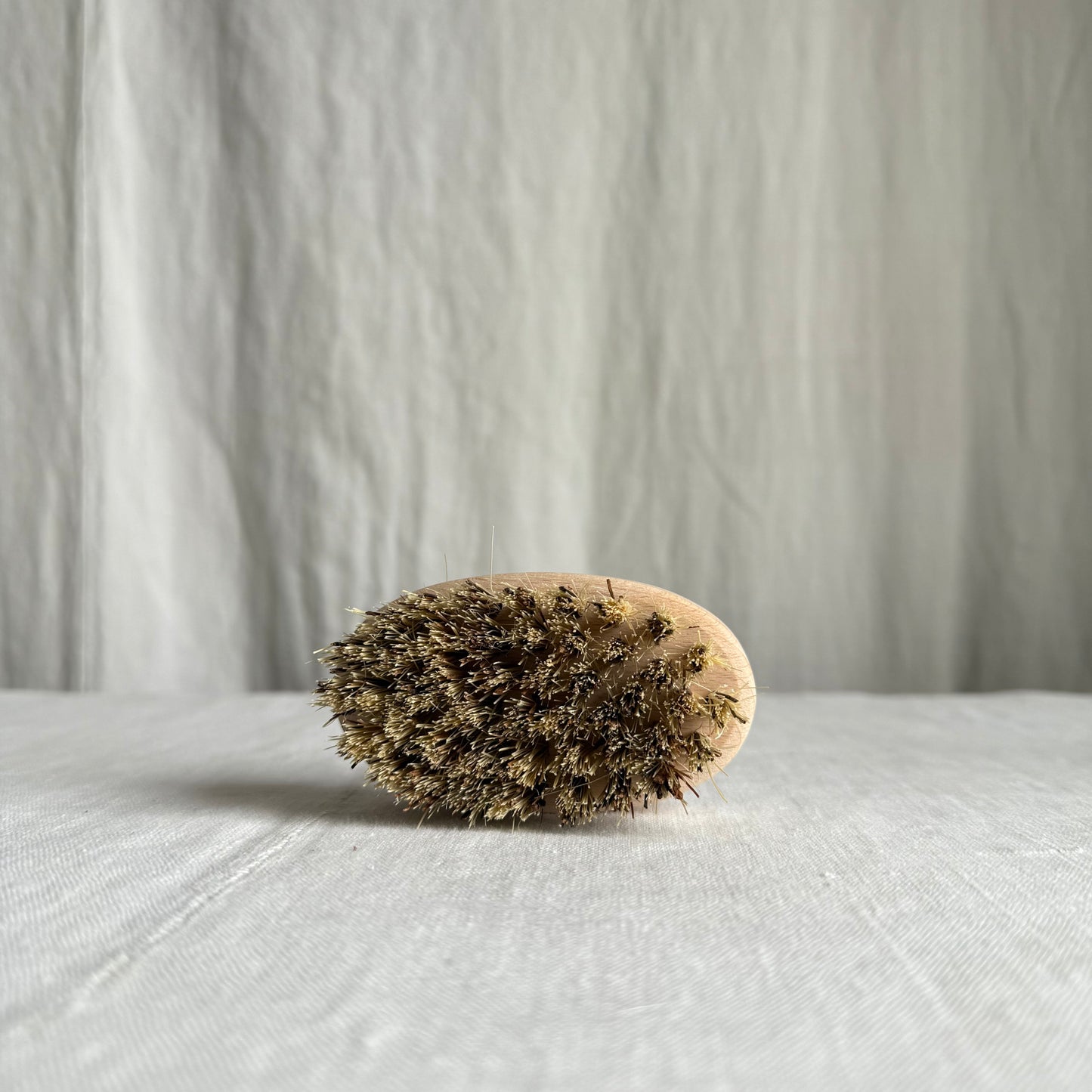 Oyster Cleaning Brush