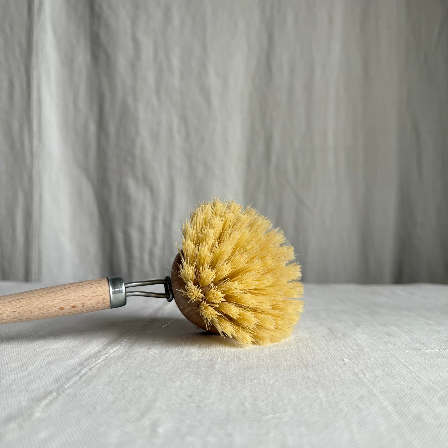 Stiff Dish Brush