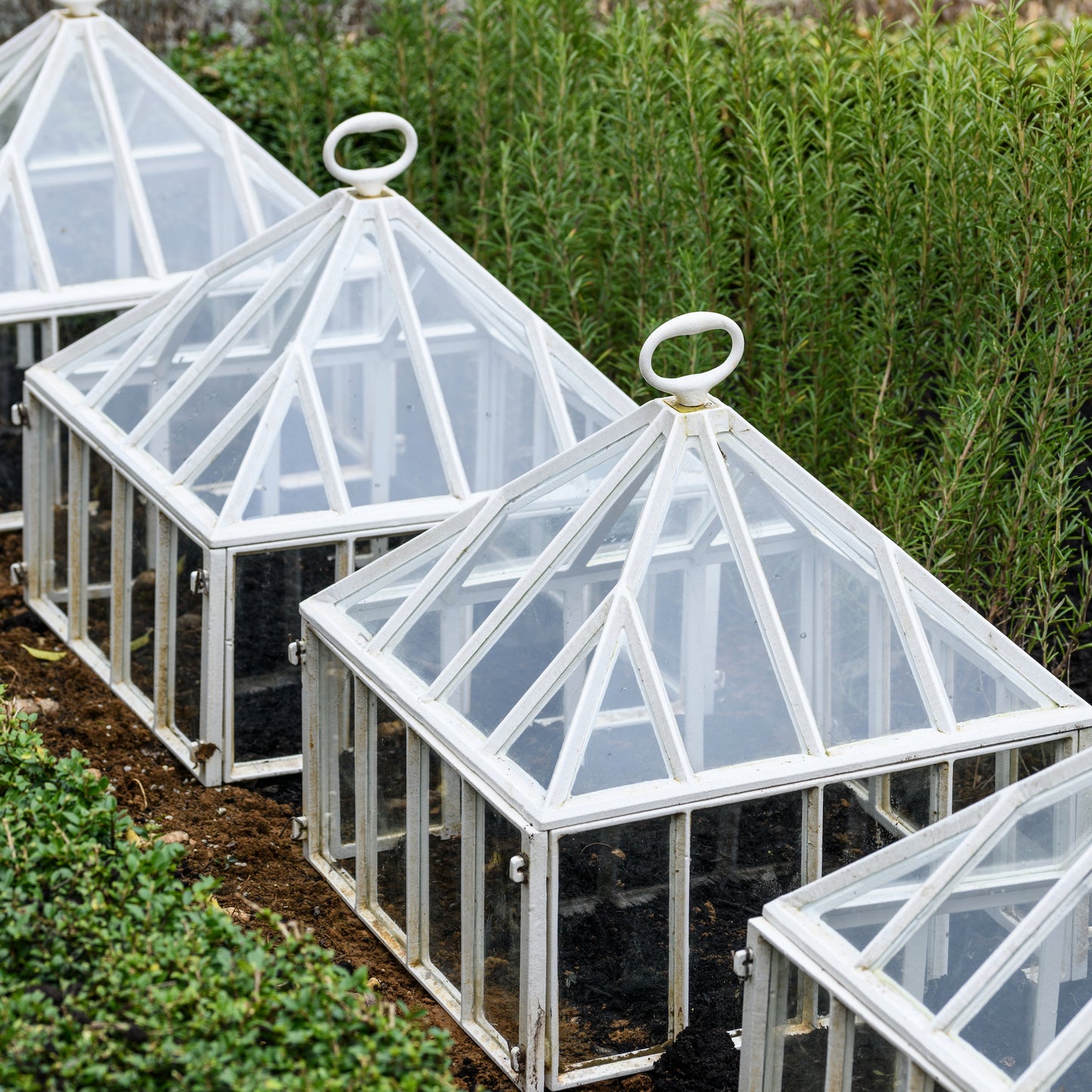 Victorian Garden Cloche by Claverton Cloches