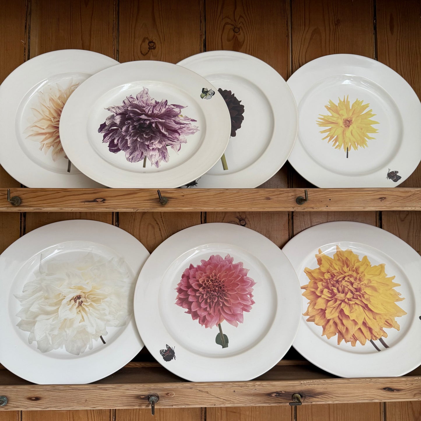 Dahlia Plate by Christopher Spitzmiller