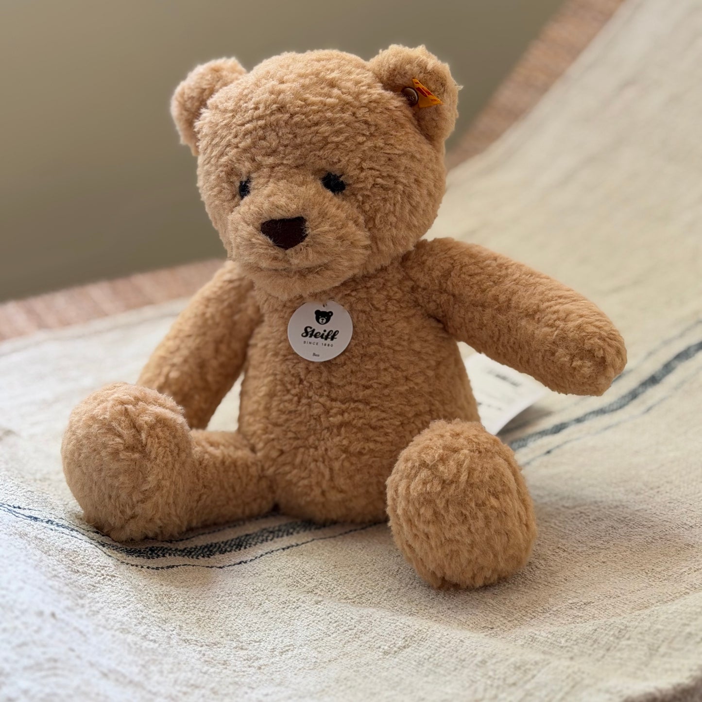 Big Steiff Bear