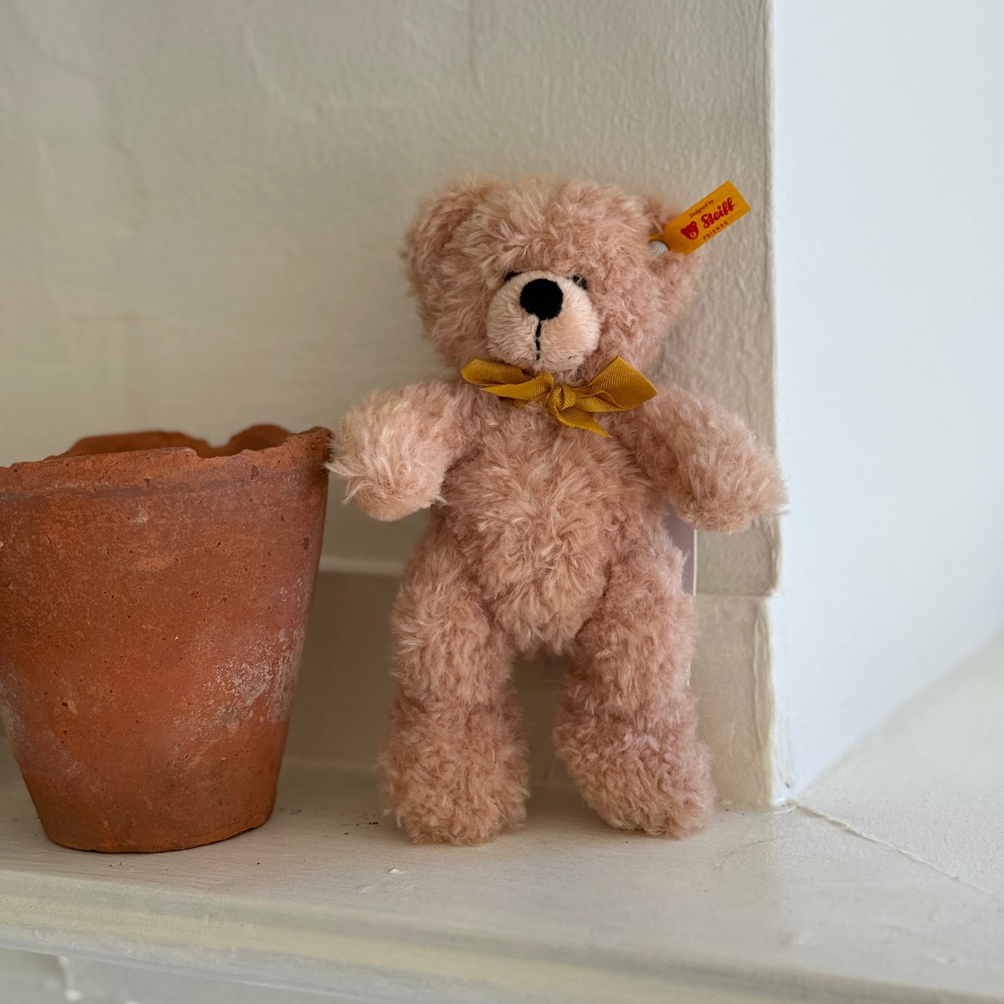 Little Steiff Bear