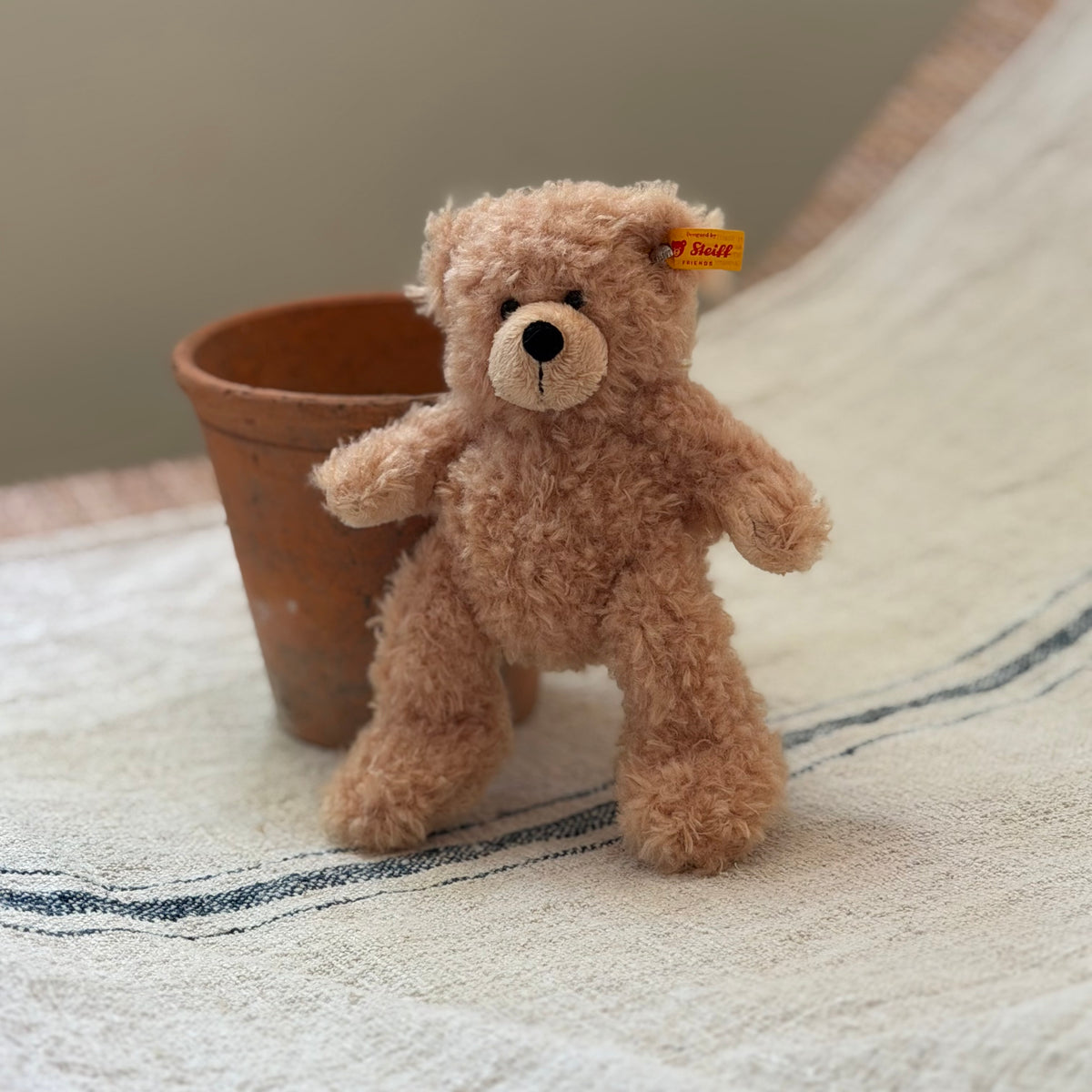 Little Steiff Bear