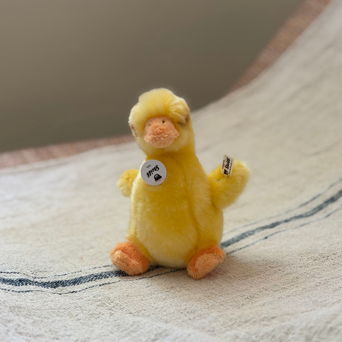 Little Steiff Duckling