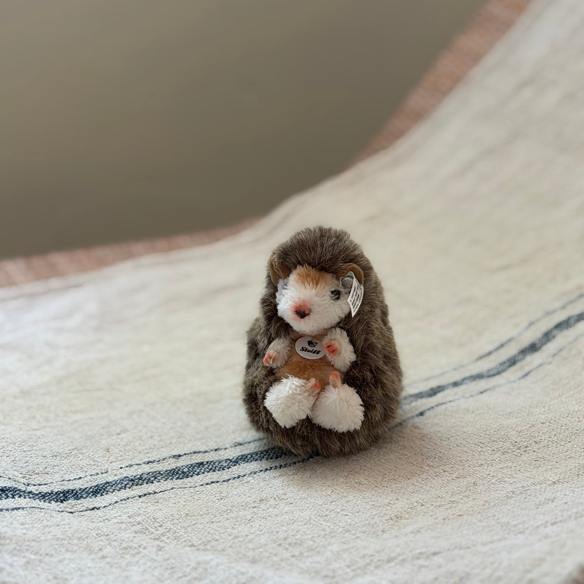 Little Steiff Hedgehog