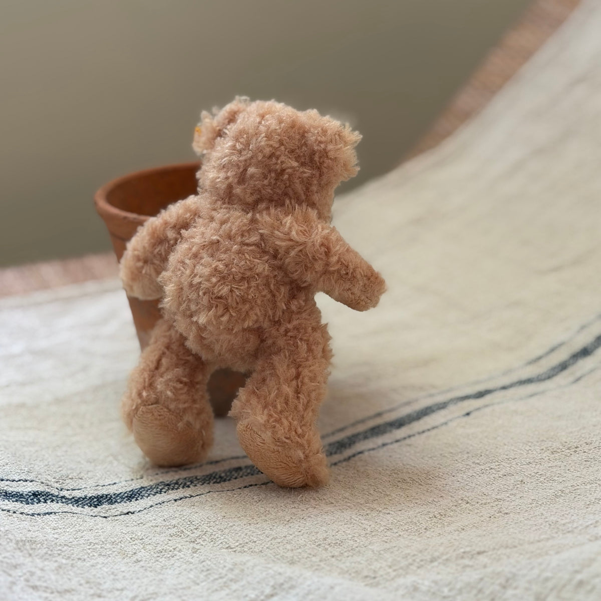 Little Steiff Bear