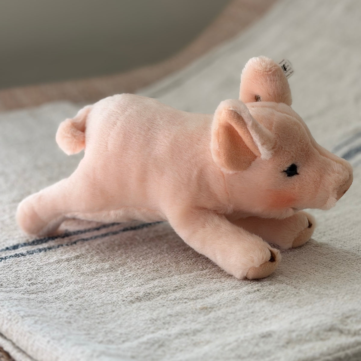 Steiff Piglet