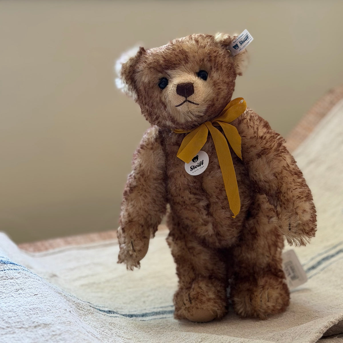 Mohair Steiff Bear
