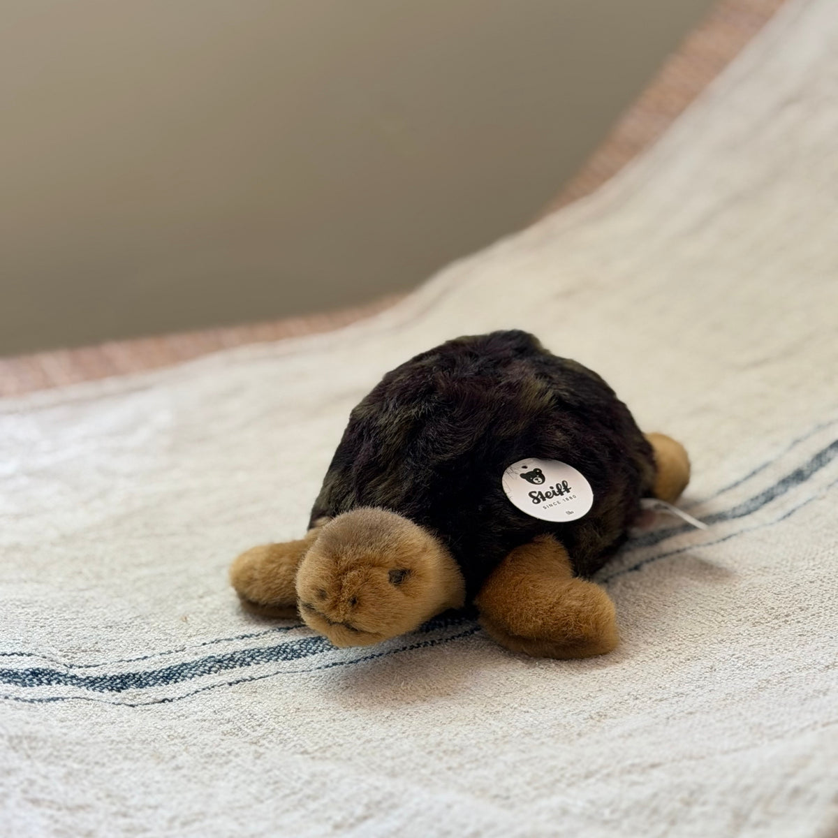 Little Steiff Tortoise