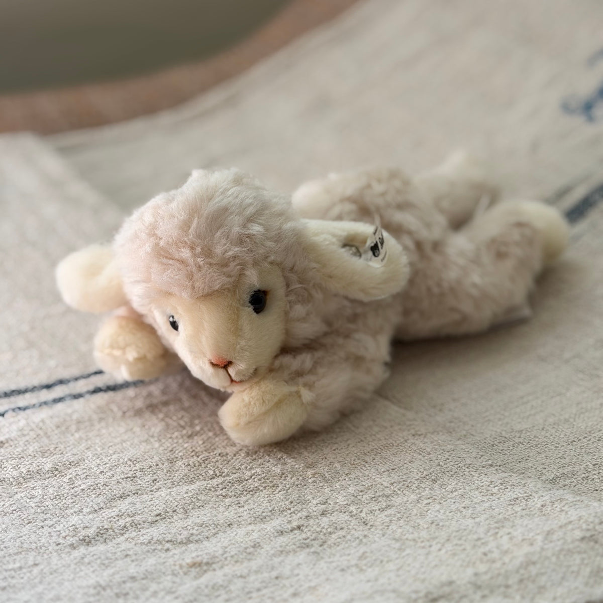 Steiff Lamb