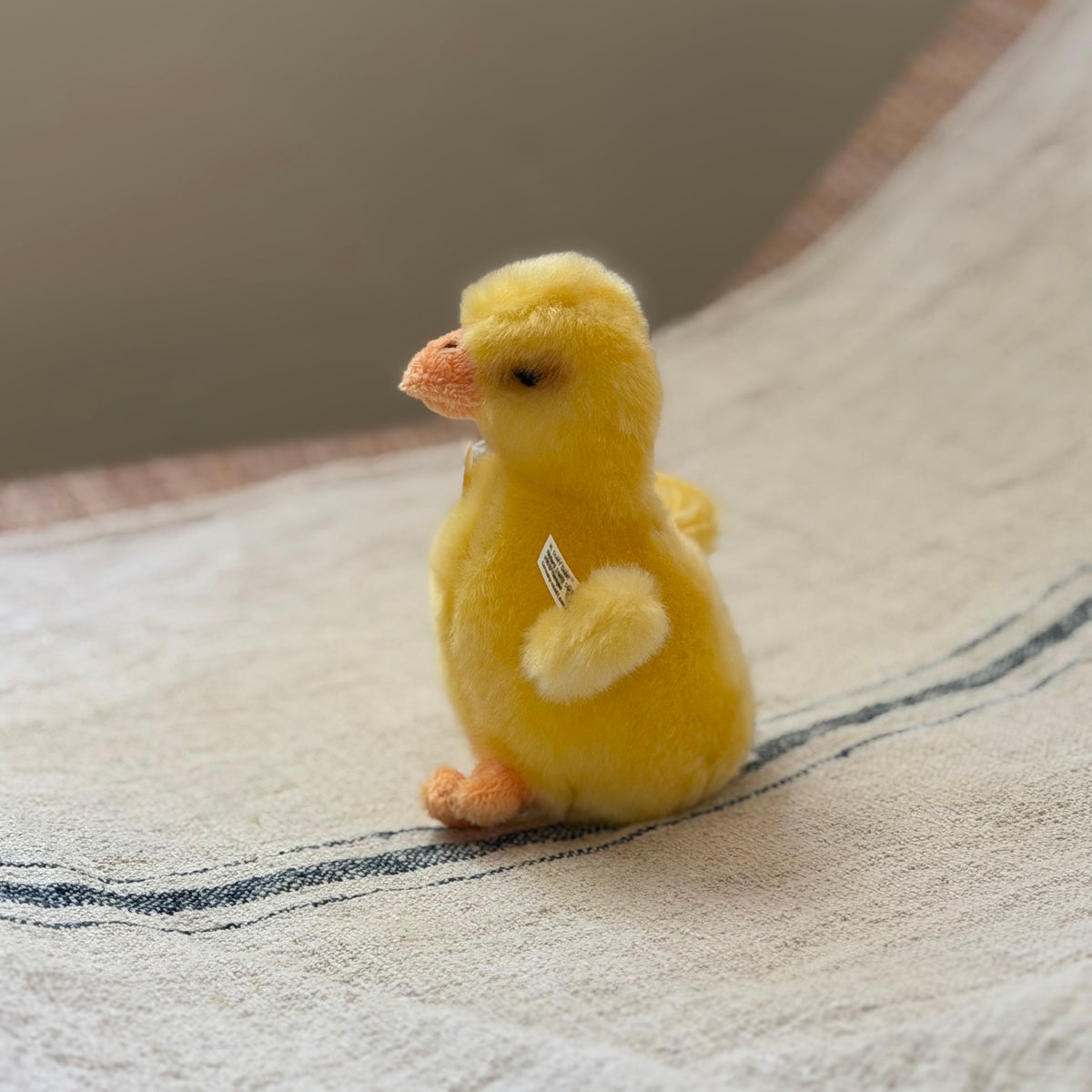 Little Steiff Duckling