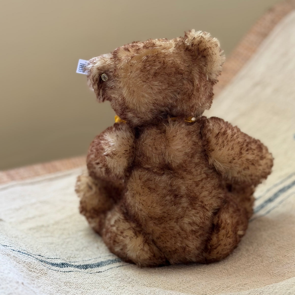 Mohair Steiff Bear