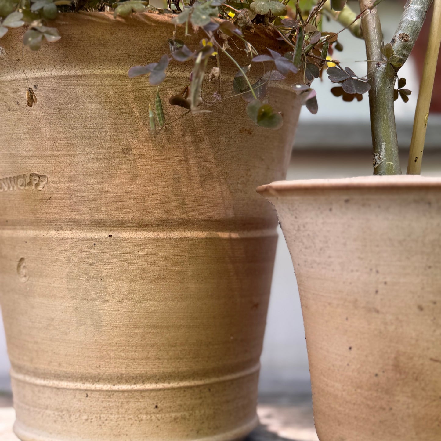 Widener Company & Ben Wolff Flowerpot, White