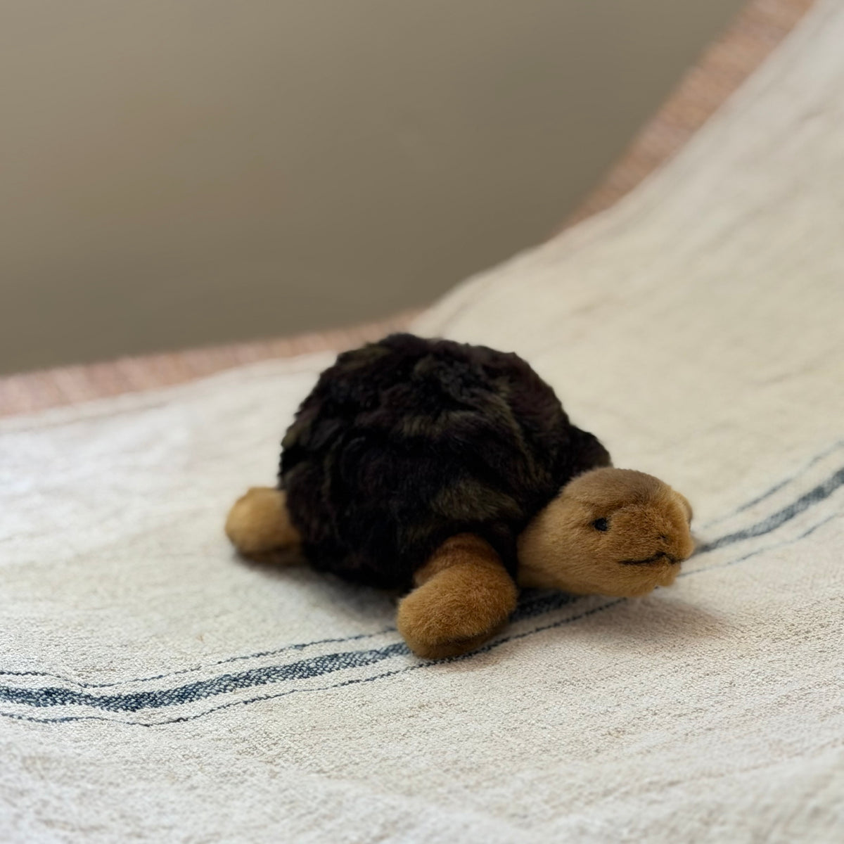Little Steiff Tortoise