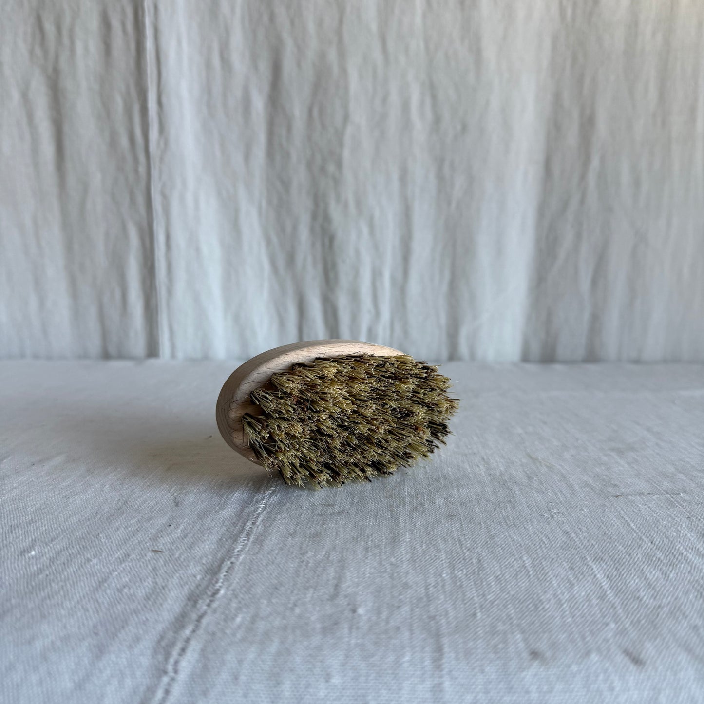 Oyster Cleaning Brush