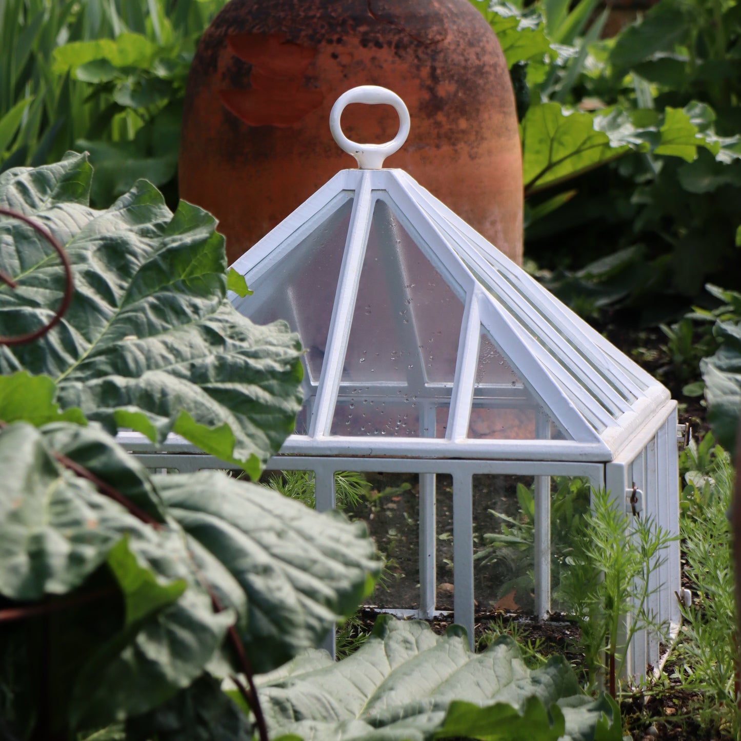 Victorian Garden Cloche by Claverton Cloches