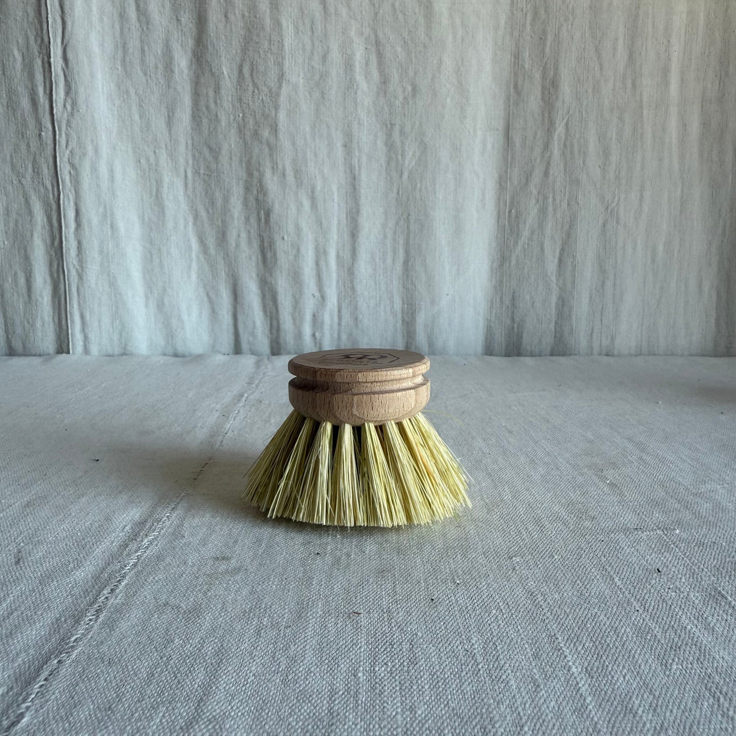 Stiff Dish Brush