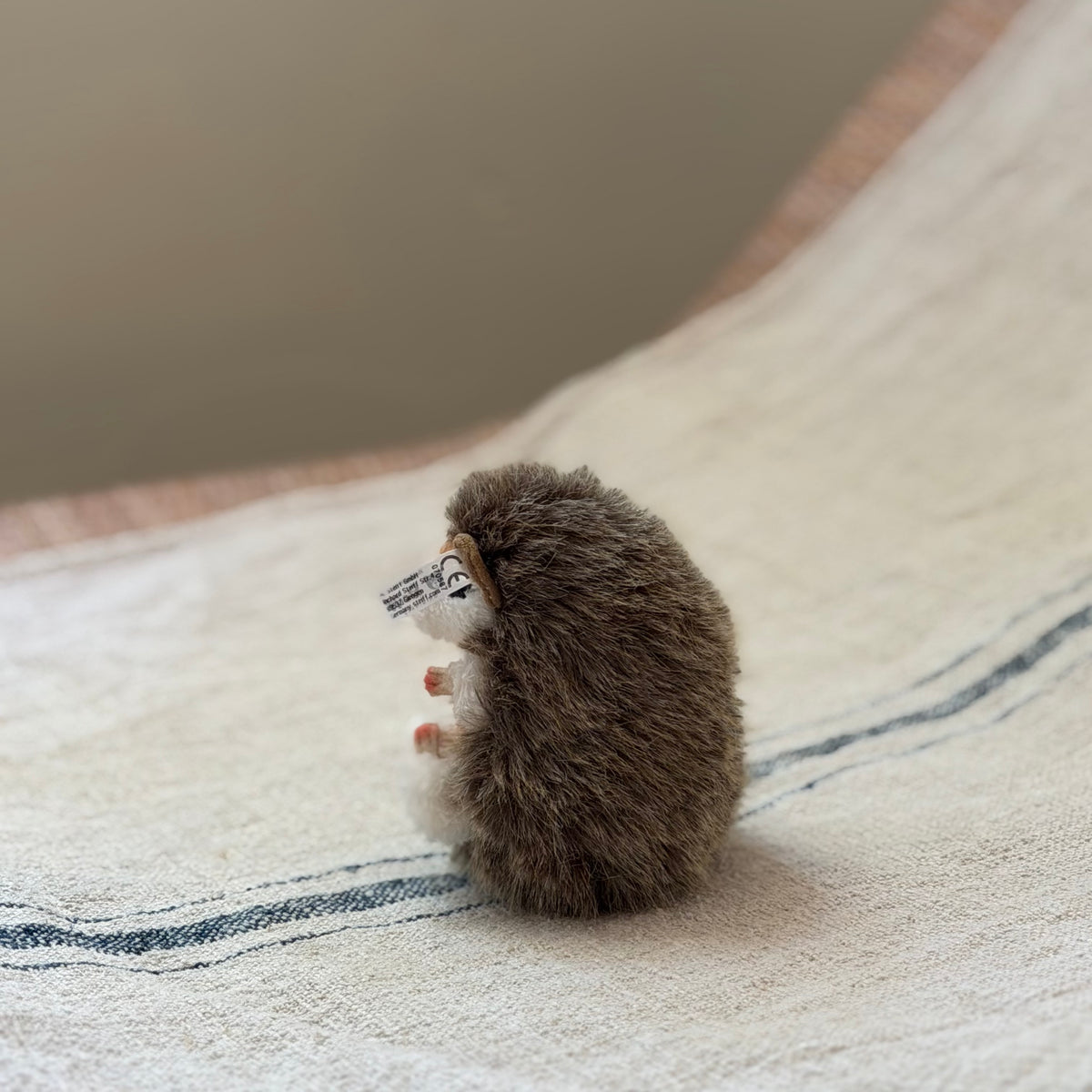 Little Steiff Hedgehog