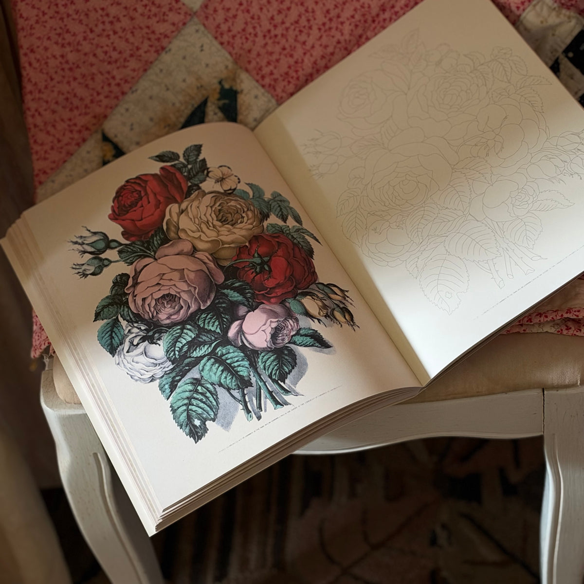 John Derian Coloring Book