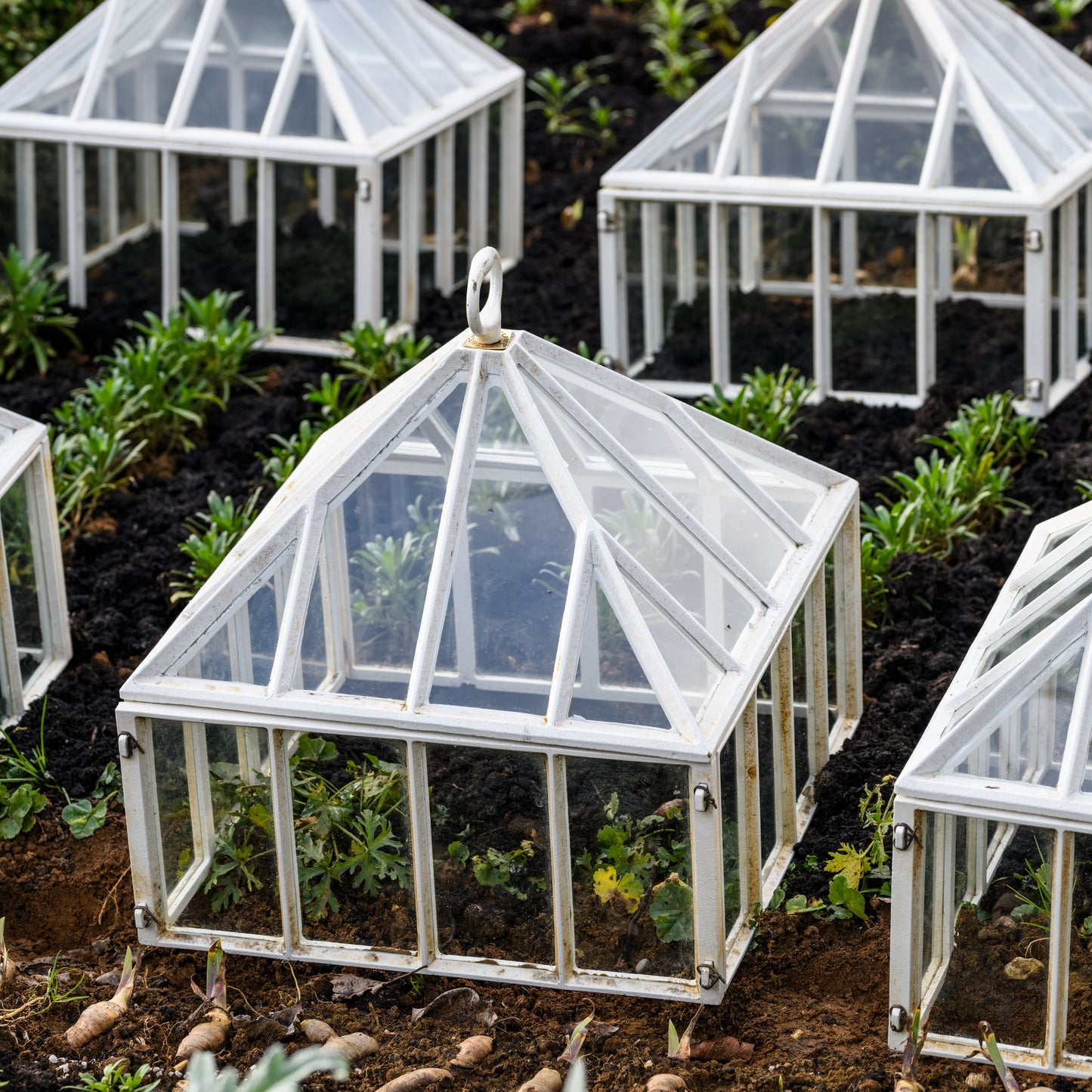 Victorian Garden Cloche by Claverton Cloches