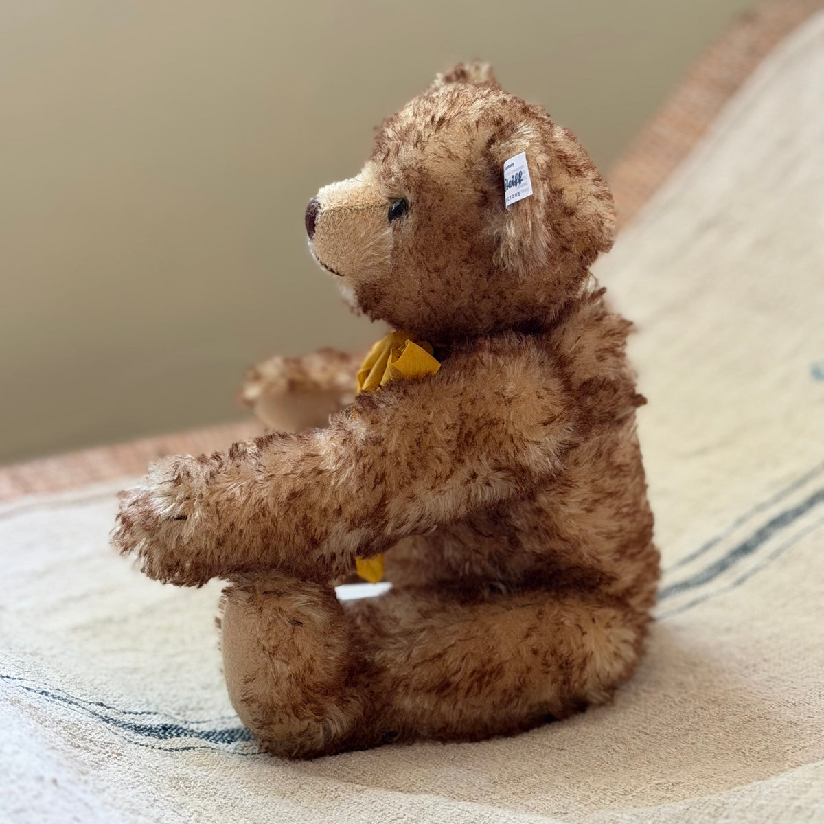Mohair Steiff Bear