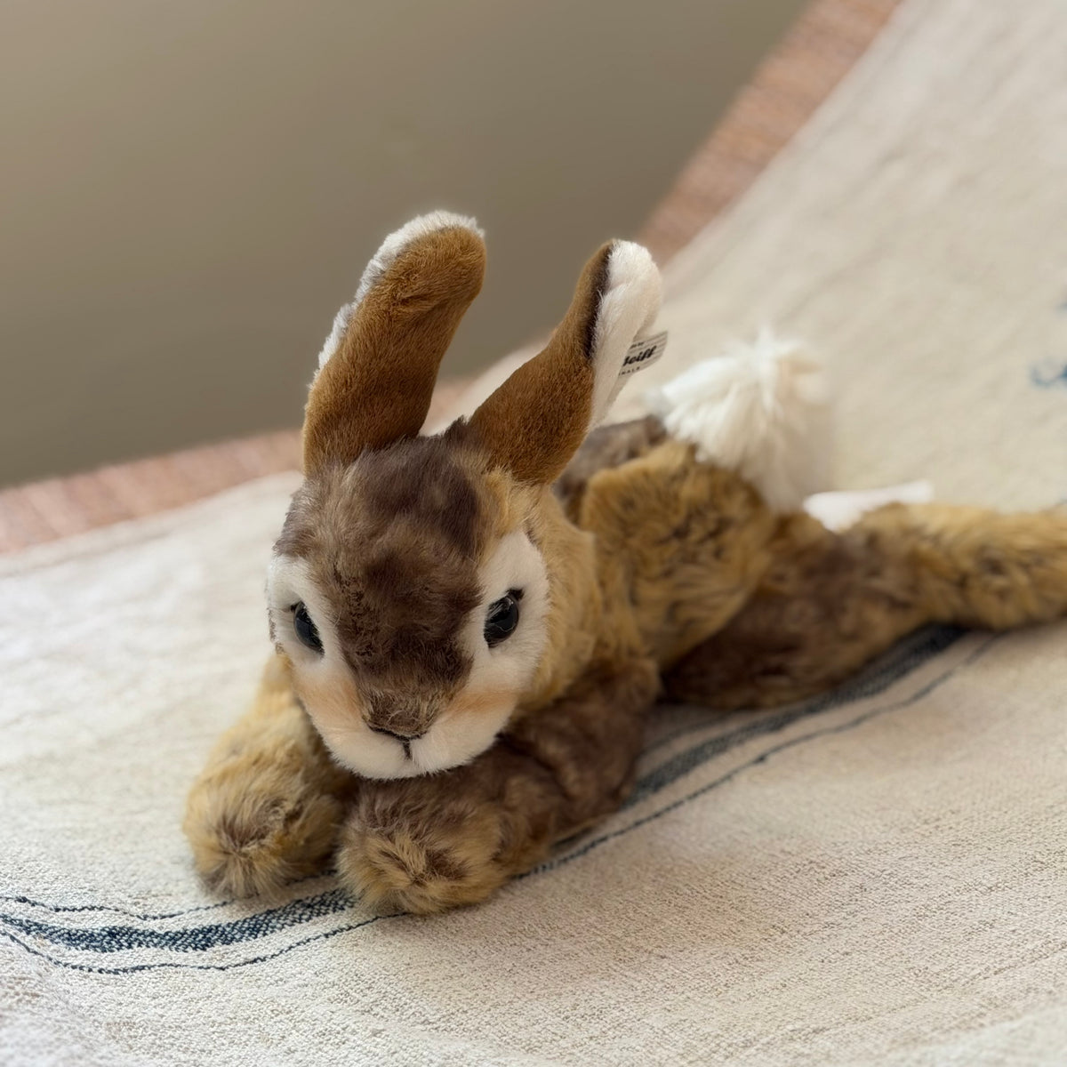 Steiff Rabbit