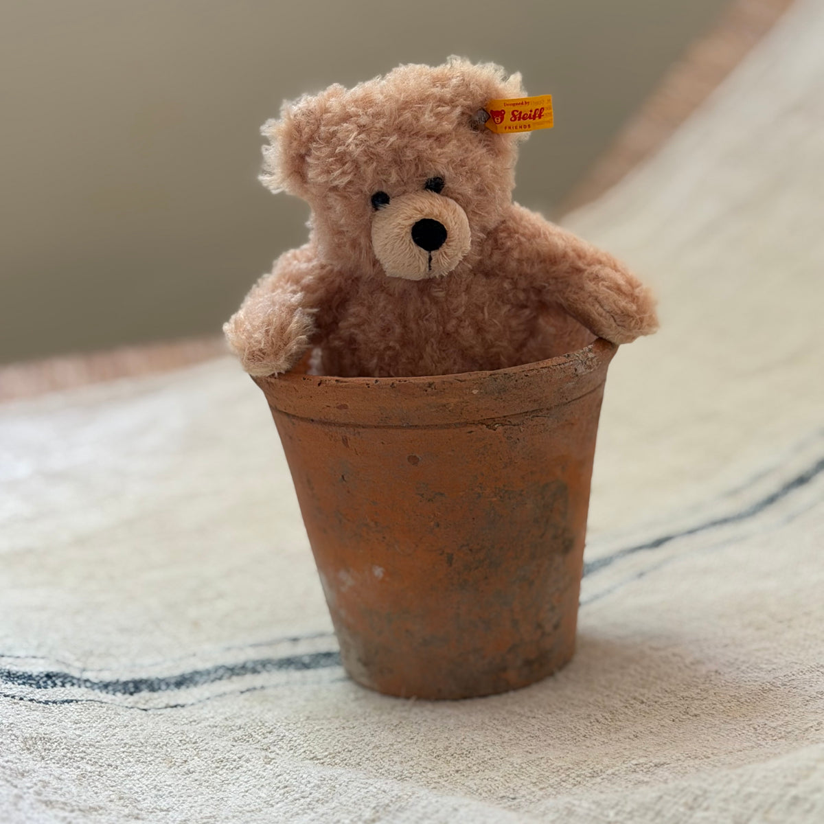 Little Steiff Bear