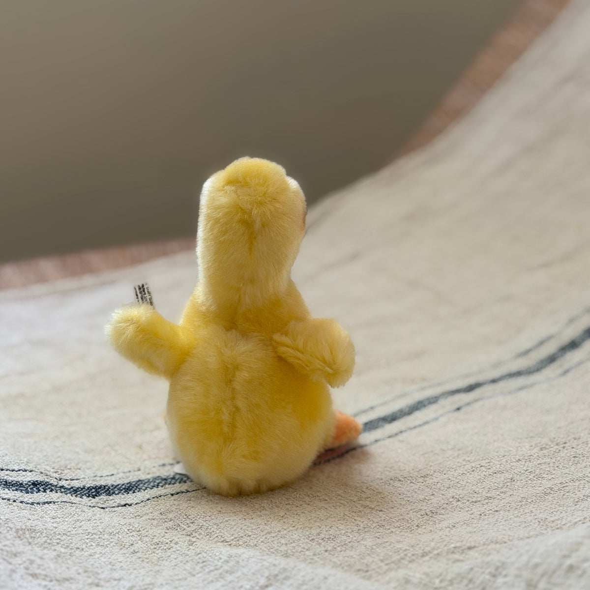 Little Steiff Duckling
