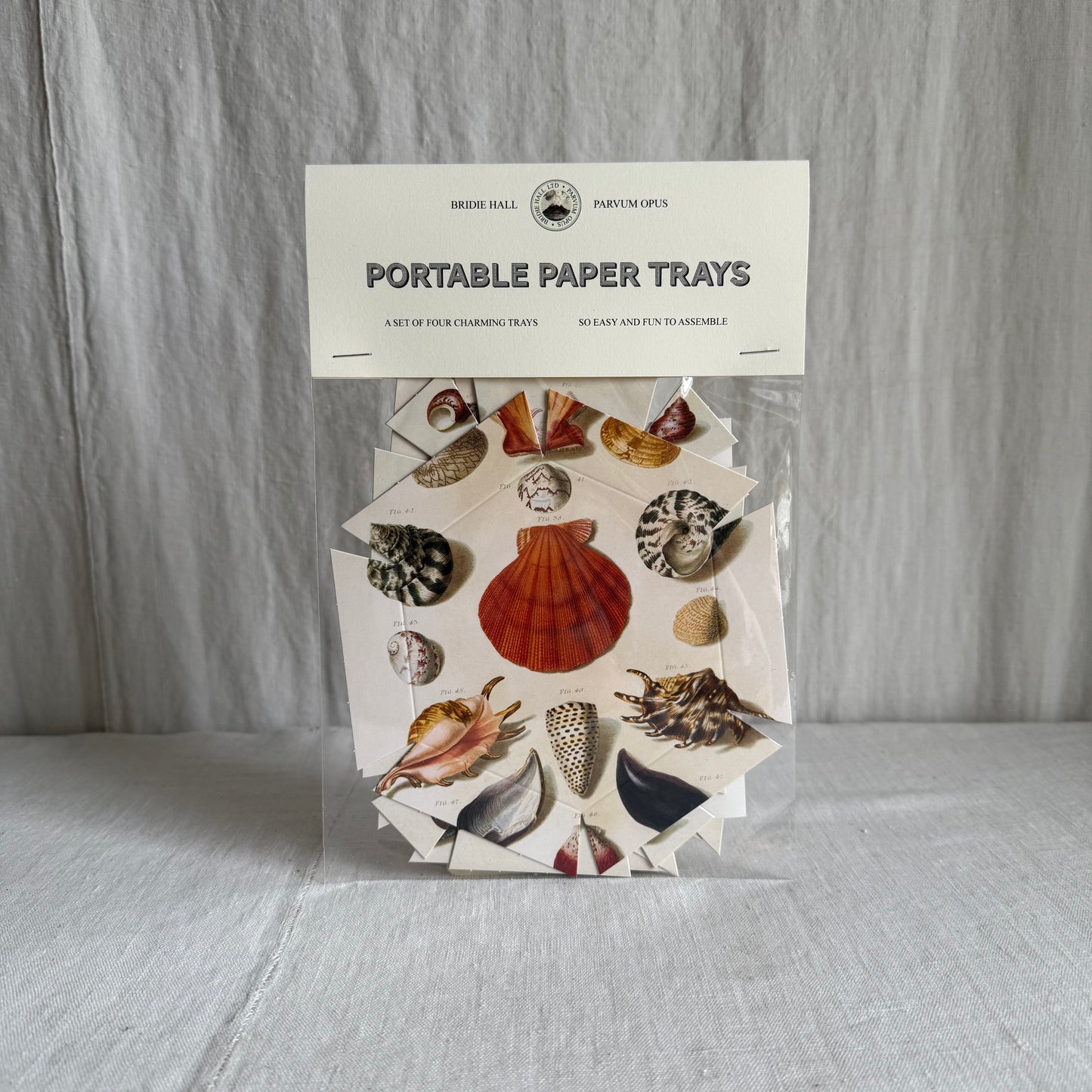 Parvum Opus & Bridie Hall Paper Trays, Shells