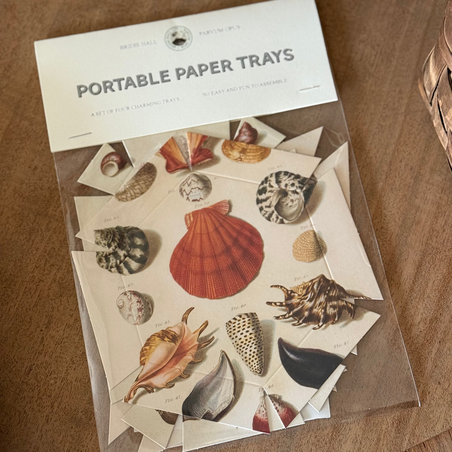 Parvum Opus & Bridie Hall Paper Trays, Shells