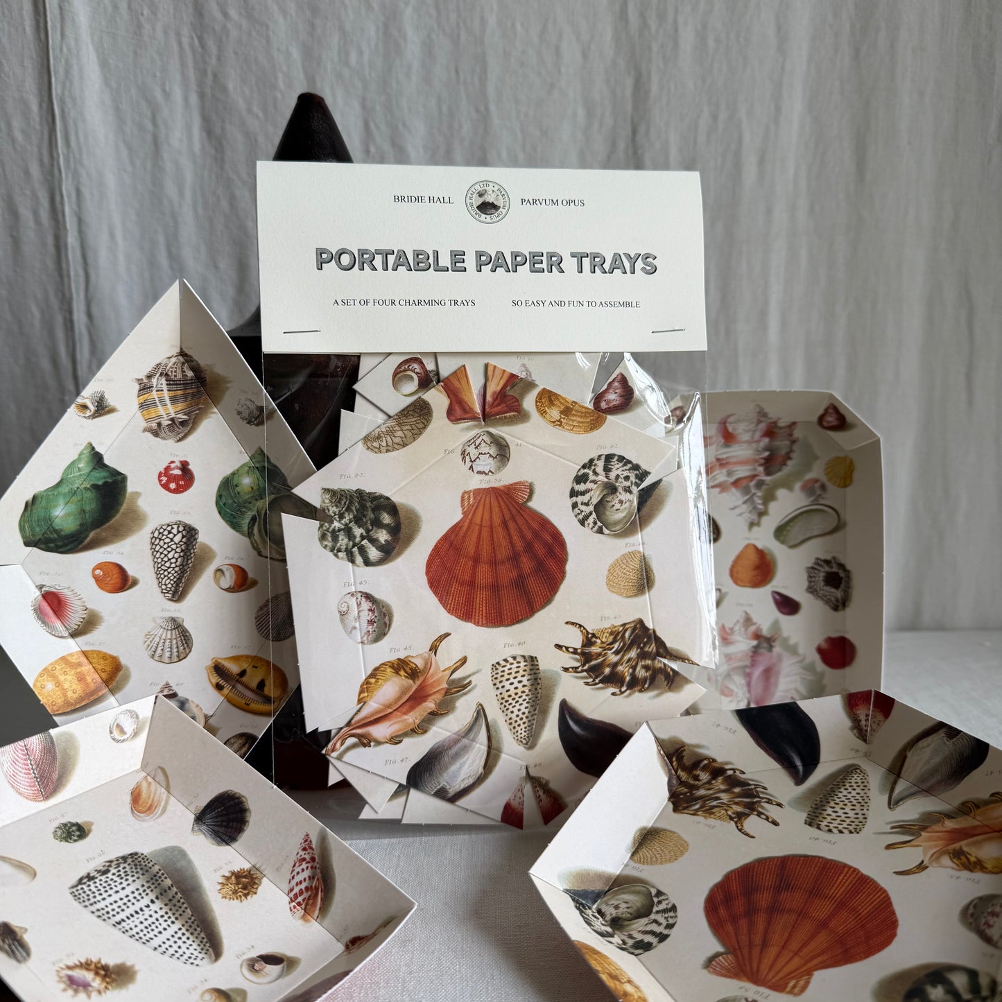 Parvum Opus & Bridie Hall Paper Trays, Shells