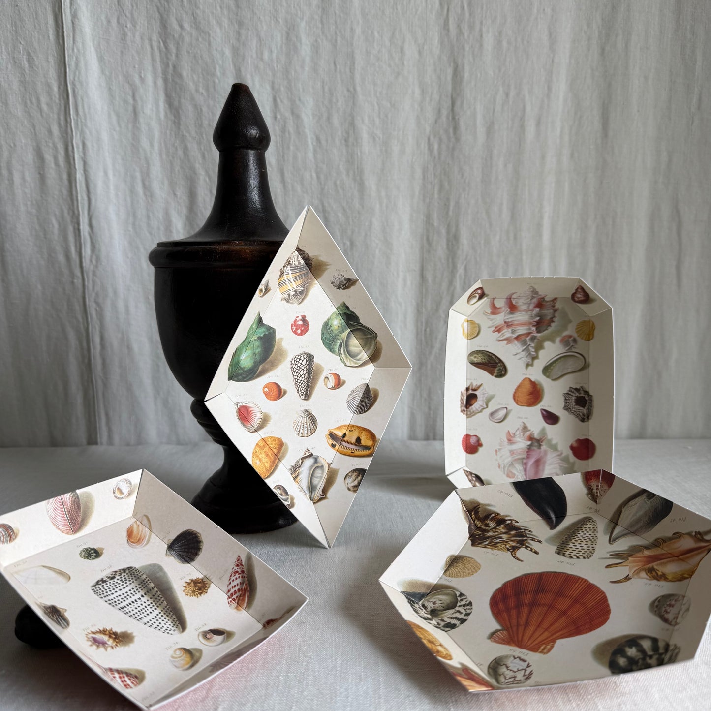 Parvum Opus & Bridie Hall Paper Trays, Shells