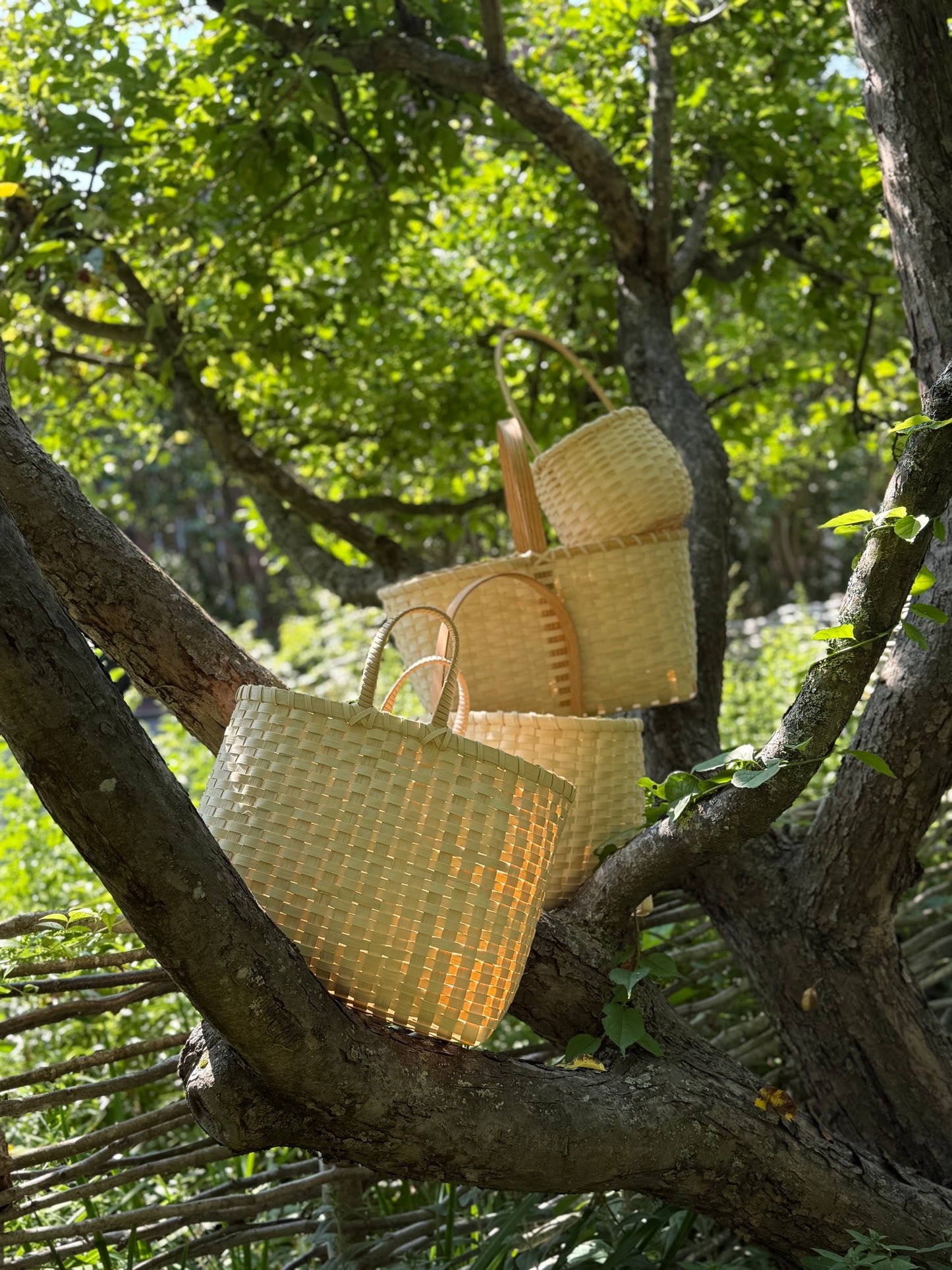 Basket Weaving Workshop 9/28