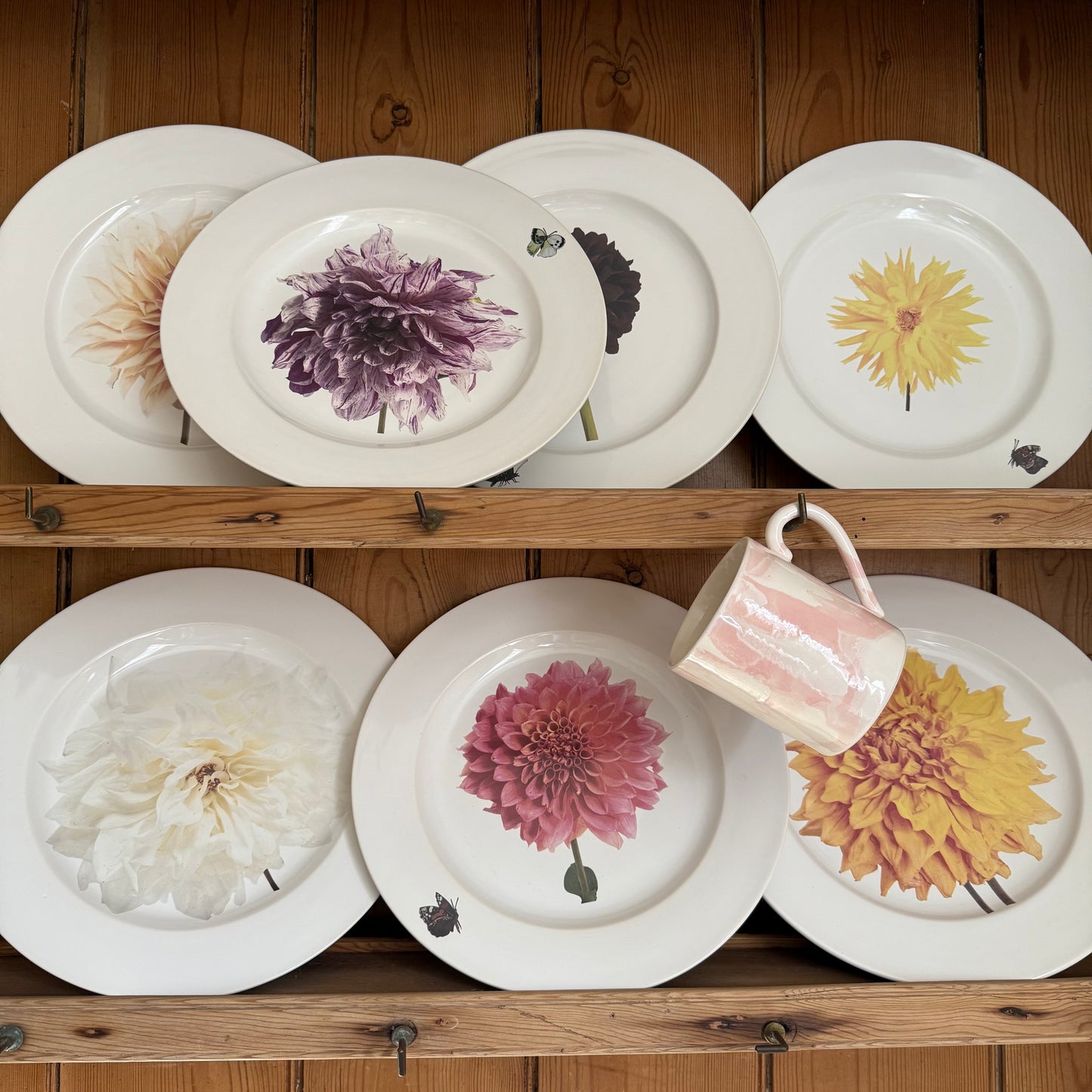Dahlia Plate by Christopher Spitzmiller