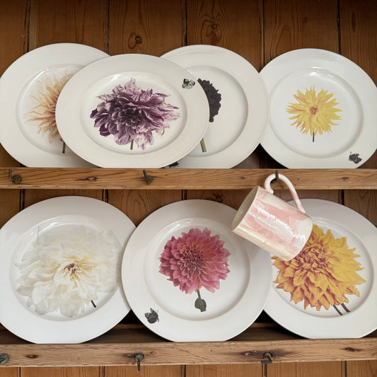 Dahlia Plate by Christopher Spitzmiller