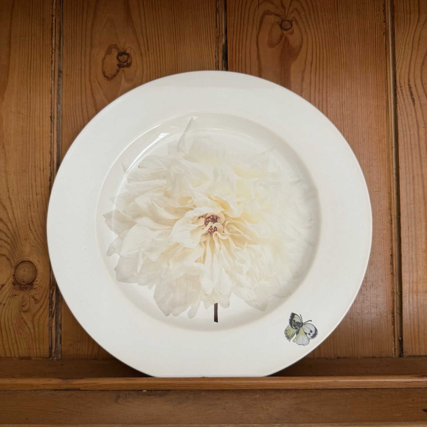 Dahlia Plate by Christopher Spitzmiller
