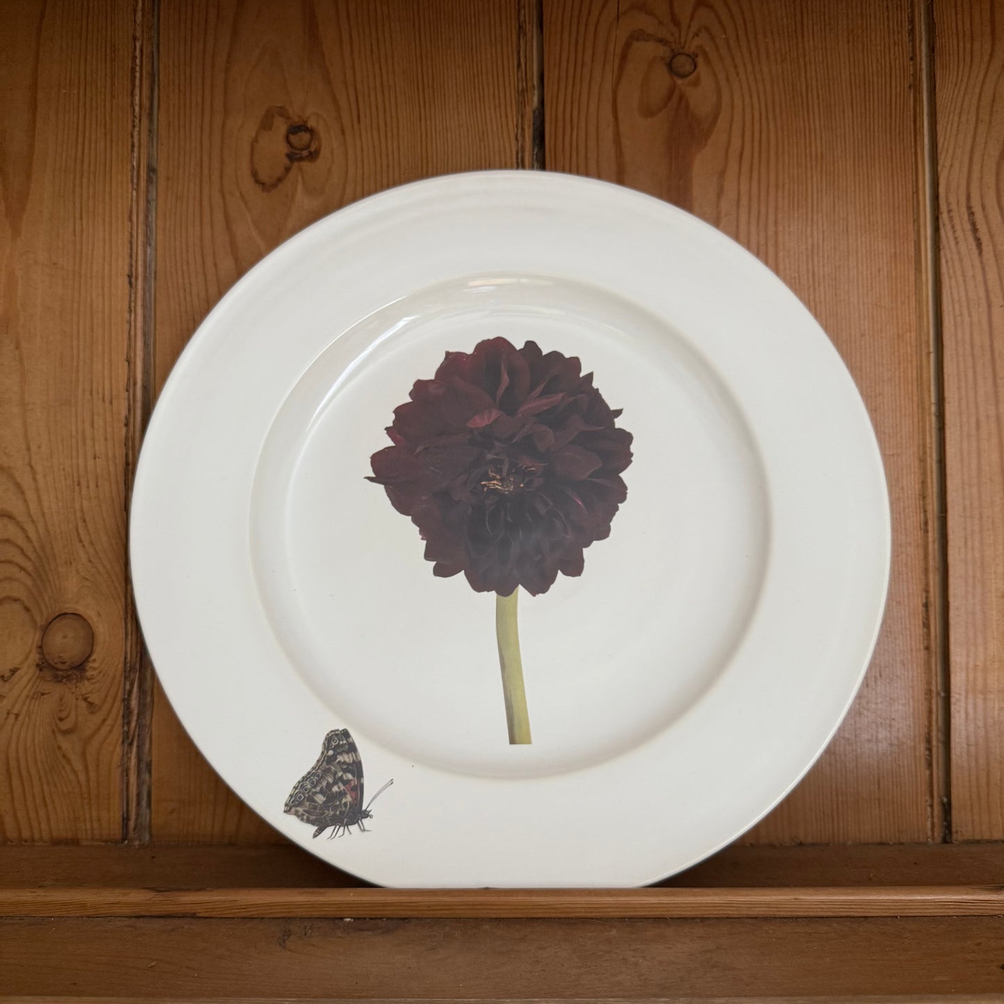 Dahlia Plate by Christopher Spitzmiller