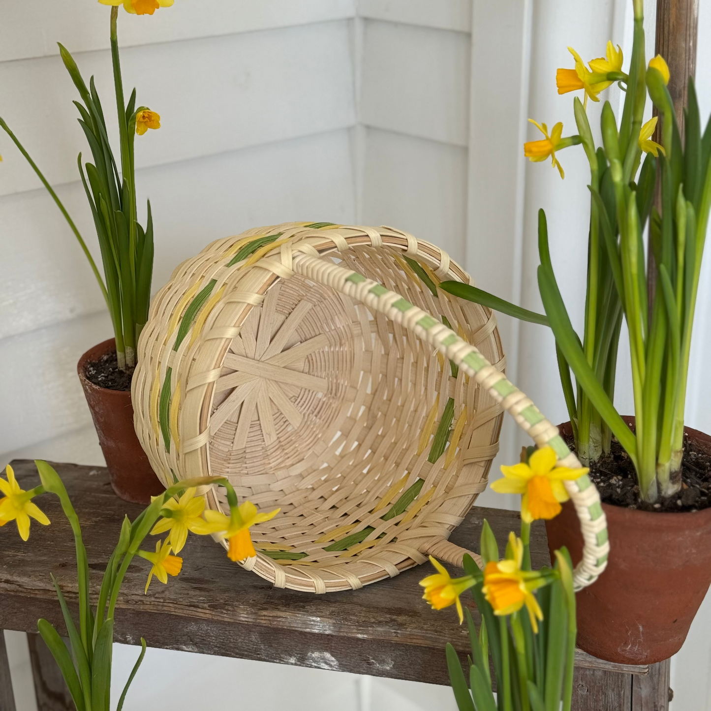 Pre Order! The Egg Basket