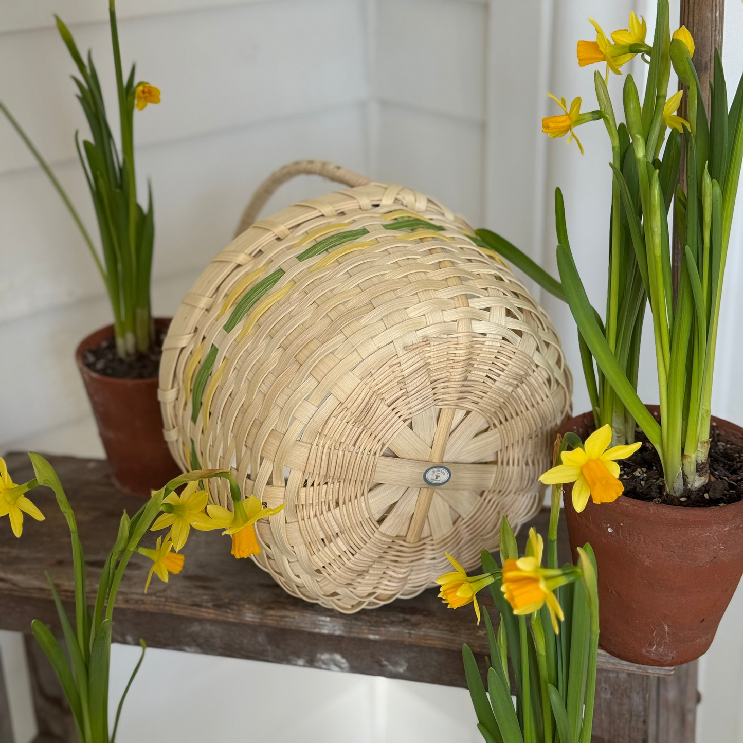 Pre Order! The Egg Basket