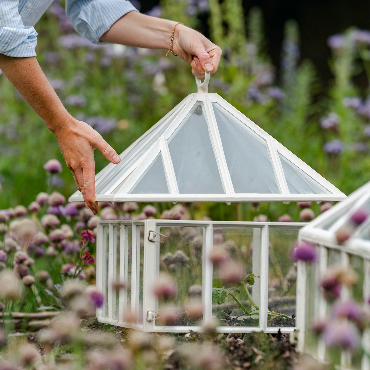 Victorian Garden Cloche by Claverton Cloches